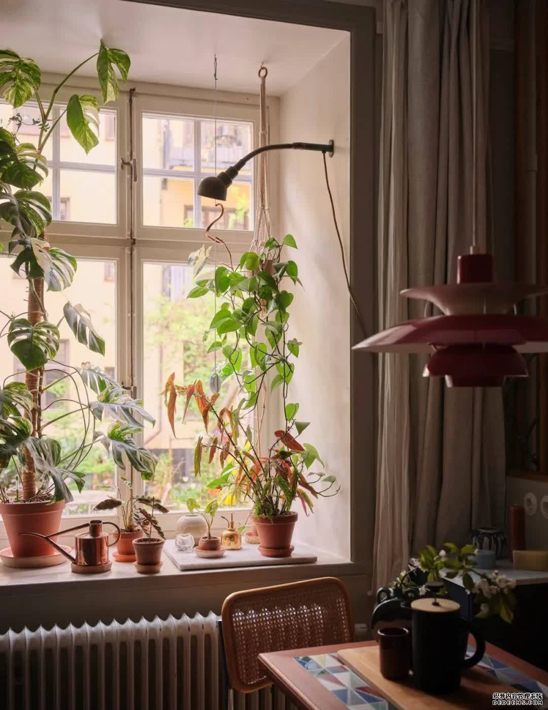 瑞典41平宝藏公寓，在有风景的家享受品质生活，慢慢堆积着幸福感