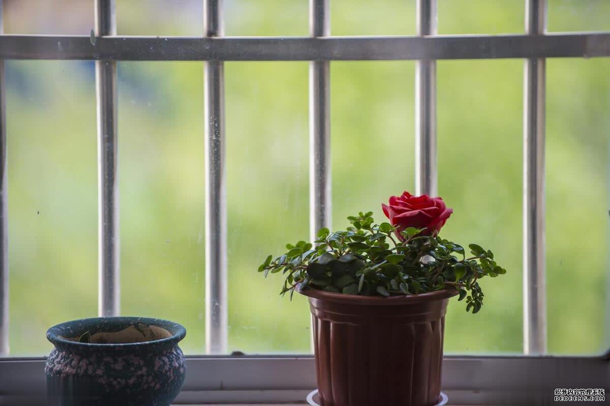 人到中年,富养自己,请选择低消耗的生活