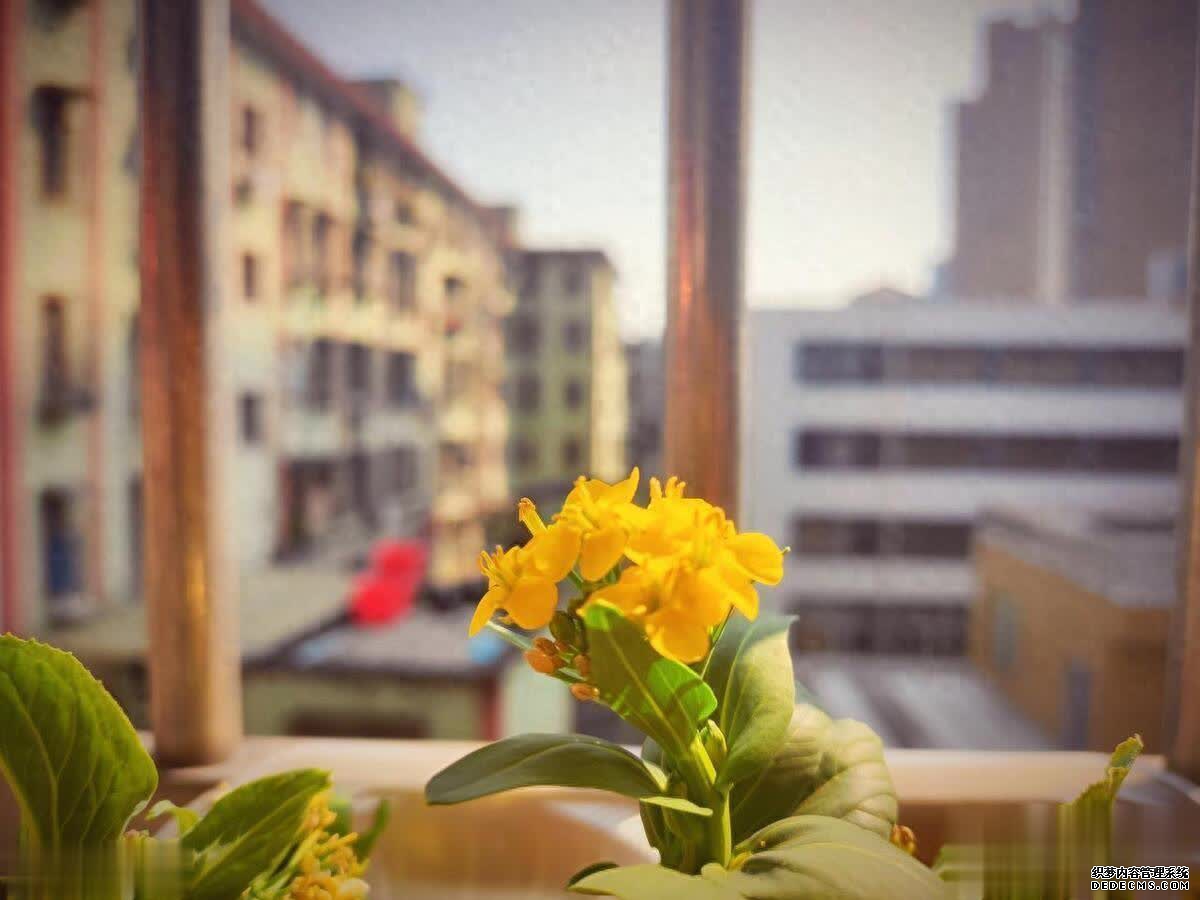 人到中年,富养自己,请选择低消耗的生活