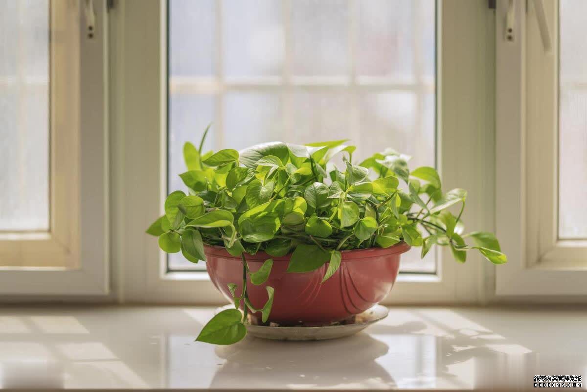 一个真正好运气的人,喜欢把“谢谢”二字挂在嘴边