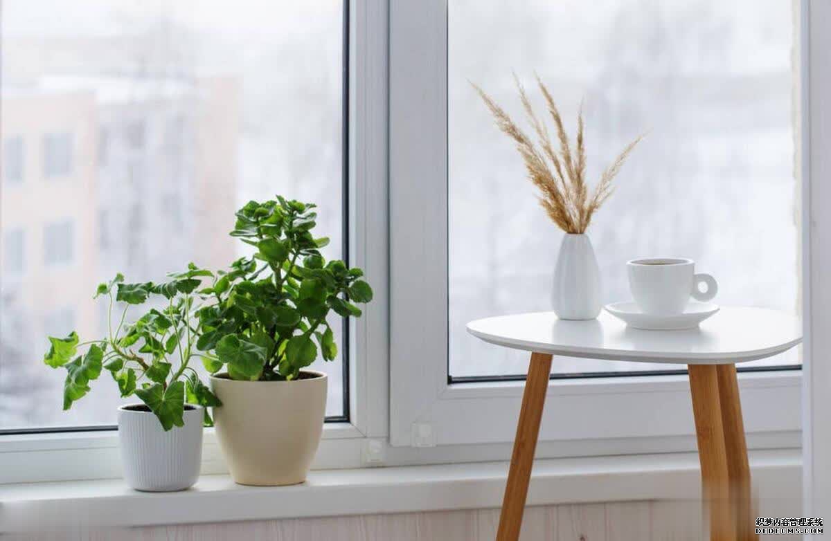 人到中年,富养自己,请选择低消耗的生活