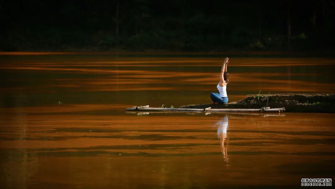 治愈内耗最好的方式：读书，运动，赚钱