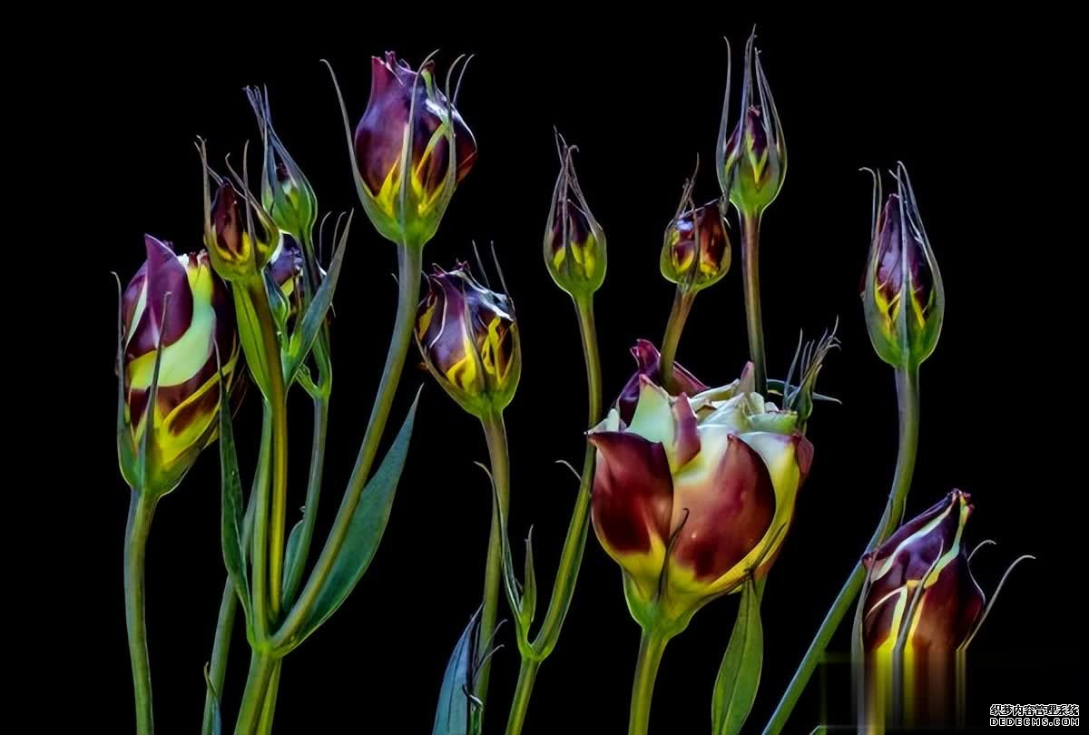 简化生活，享受中年的幸福，不再被物质所束缚