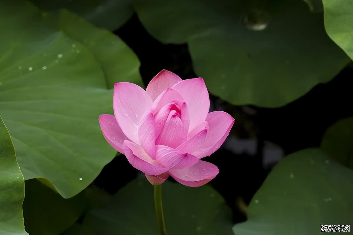 简化生活，享受中年的幸福，不再被物质所束缚