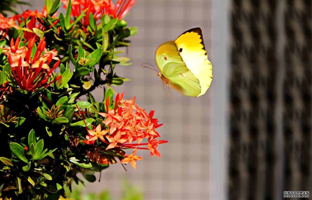 简化生活，享受中年的幸福，不再被物质所束缚