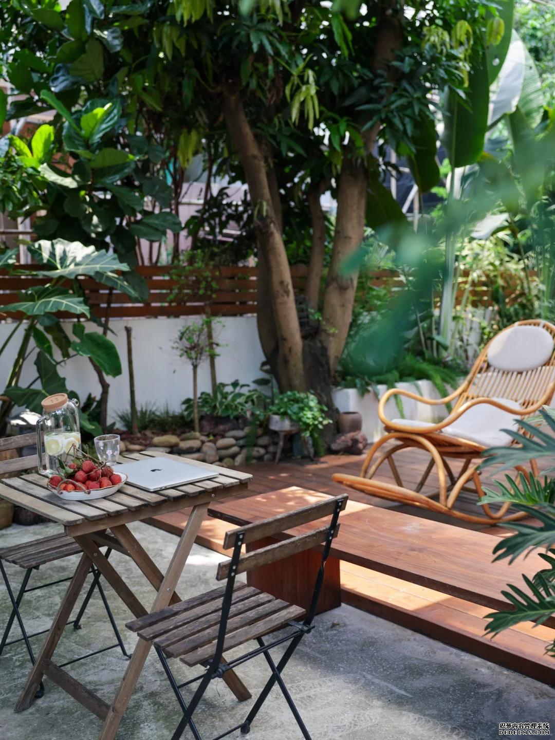 生活就是这样，有个院子真好！