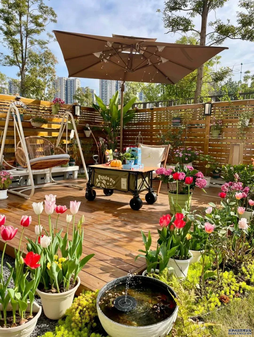 生活就是这样，有个院子真好！