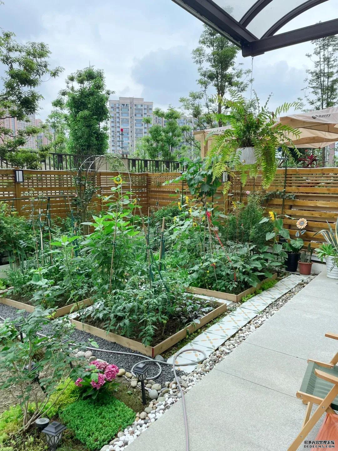 生活就是这样，有个院子真好！