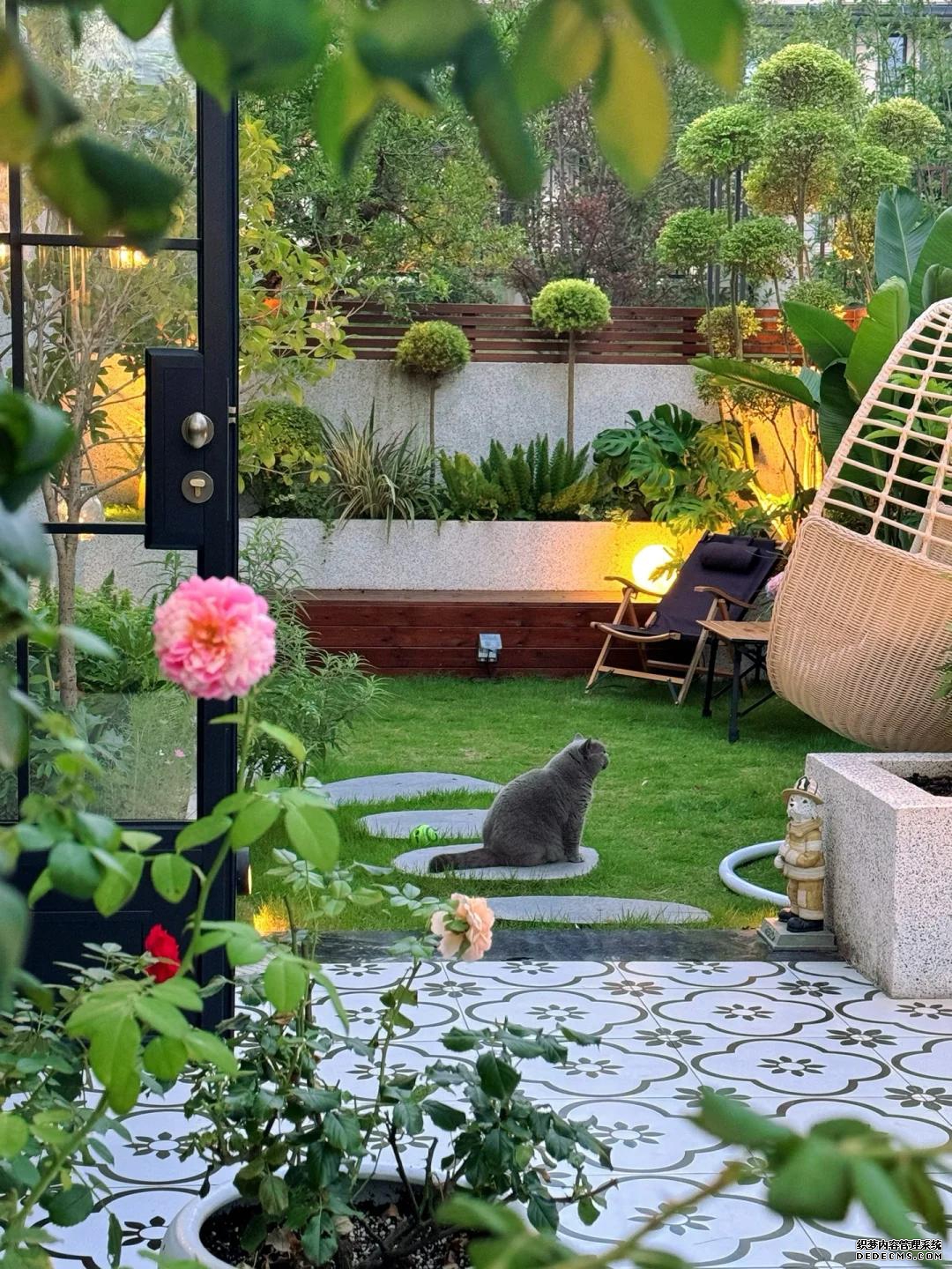 生活就是这样，有个院子真好！