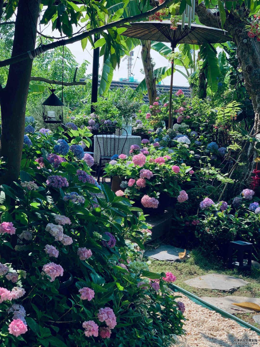 生活就是这样，有个院子真好！