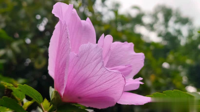 惊人的因果定律：人败因狂，事败因贪，家败因怨