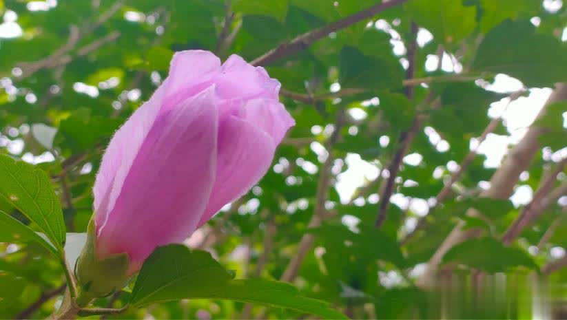 惊人的因果定律：人败因狂，事败因贪，家败因怨