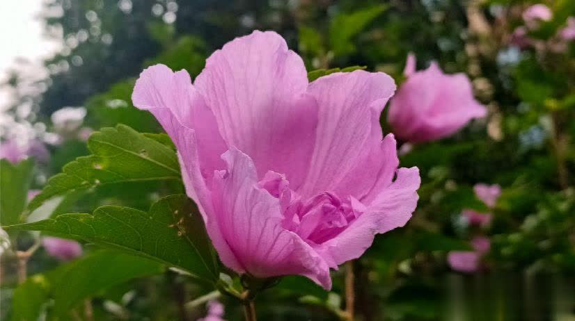 揭秘成功与失败的因果关系：人败因狂妄，事败因贪婪，家败因怨恨