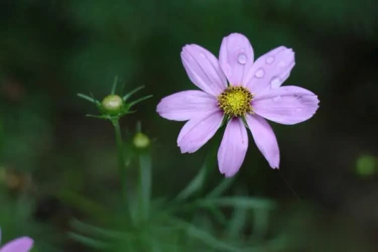 一个人能不能过得好，最主要看的就是这一点，那就是经营生活