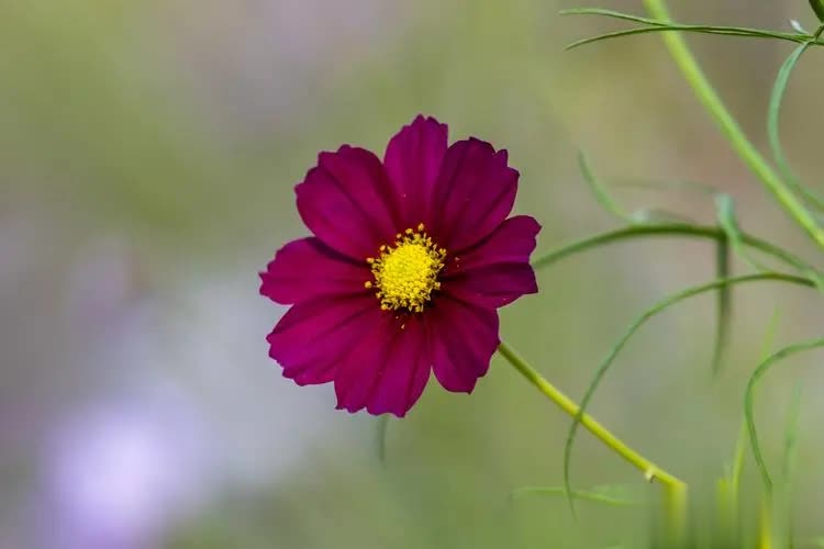 一个人能不能过得好，最主要看的就是这一点，那就是经营生活