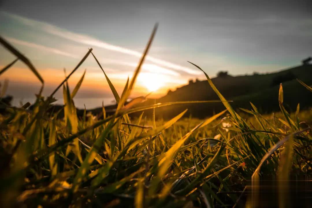 人生最大的内耗，是背负别人的负能量