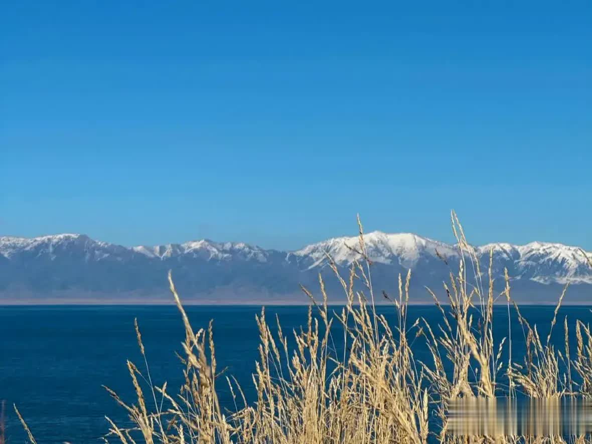 想要无忧无虑,最关键的是减少欲望,少点期待