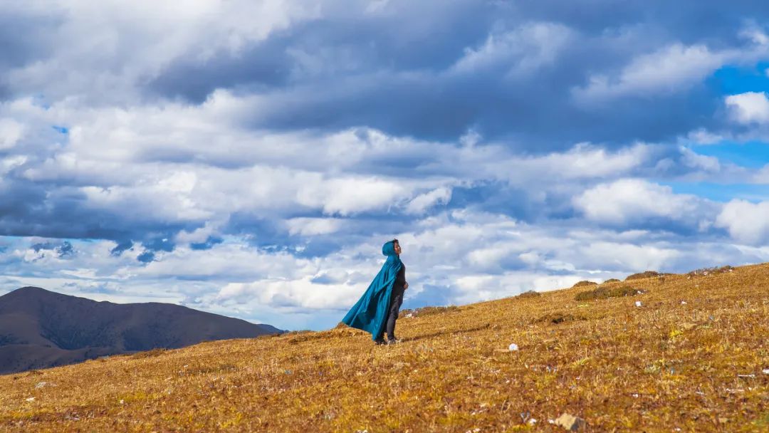 人在低谷：心静、心定、心淡