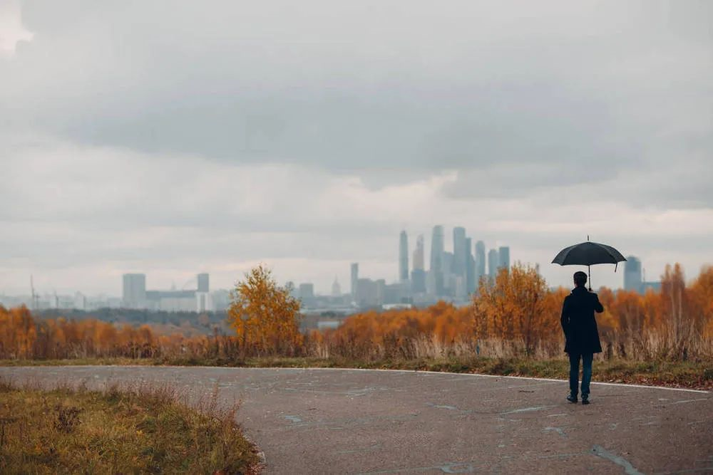 人到中年,最好的生活观