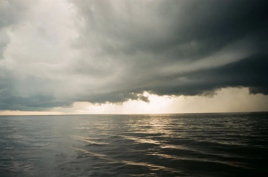 世间一切，不过因果