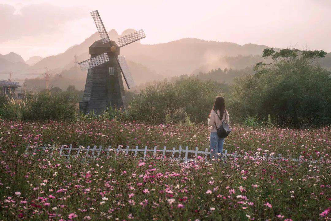 人生苦短，别自找麻烦