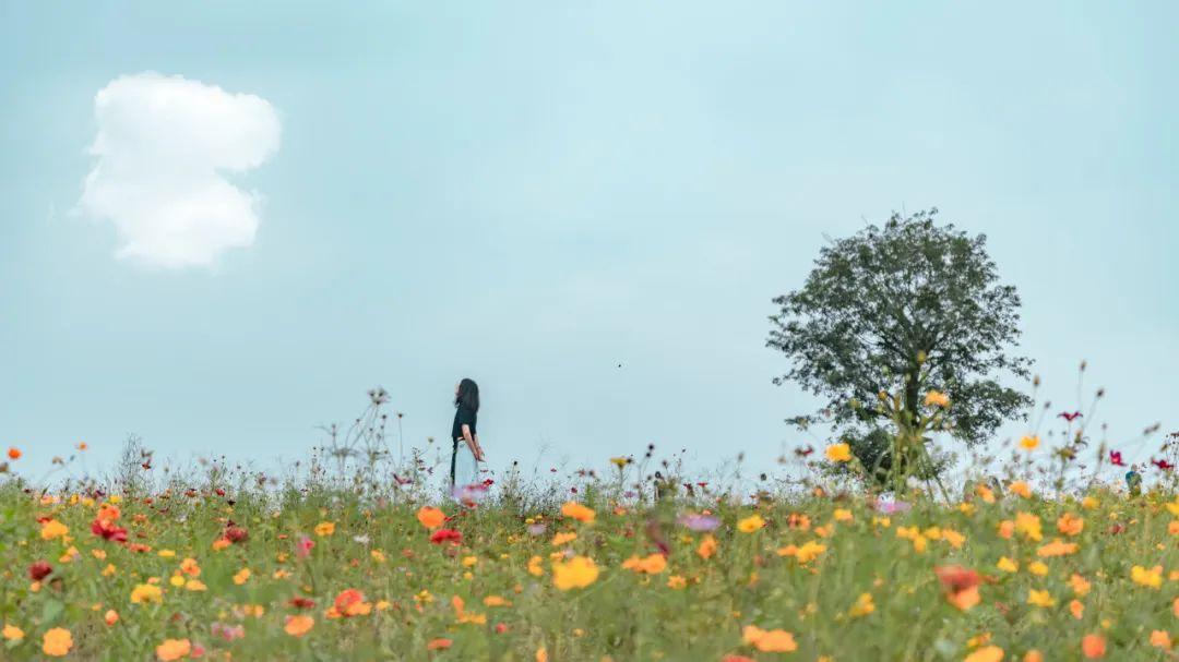 人生苦短，别自找麻烦