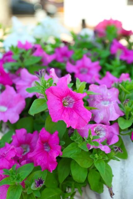 心软未必是美德：保护自己，学会适度拒绝