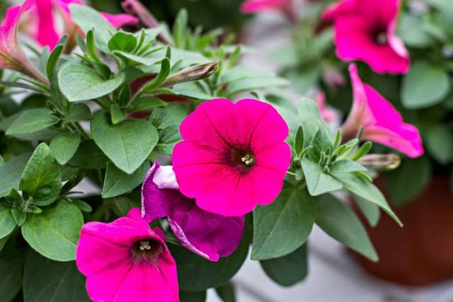 心软未必是美德：保护自己，学会适度拒绝