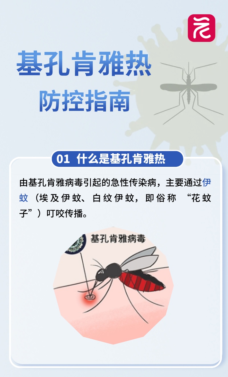被这种蚊子咬了要小心！广东顺德确诊超2000例