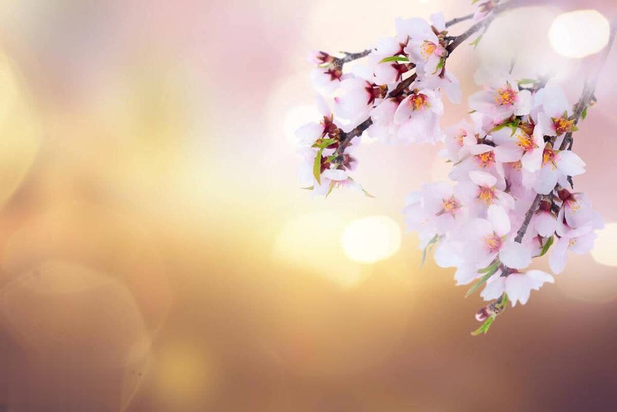 生活的扎心现实：坏人恶人真的不少，所以，活得有点攻击性吧