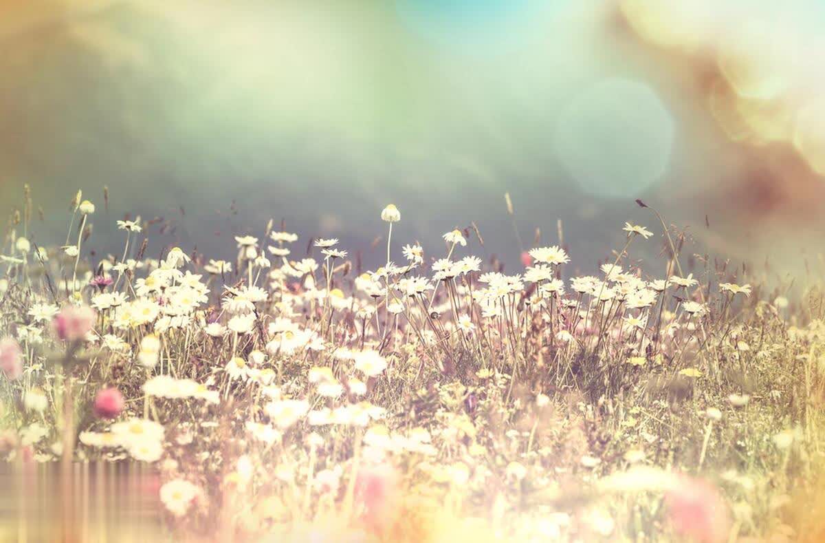 生活的扎心现实：坏人恶人真的不少，所以，活得有点攻击性吧