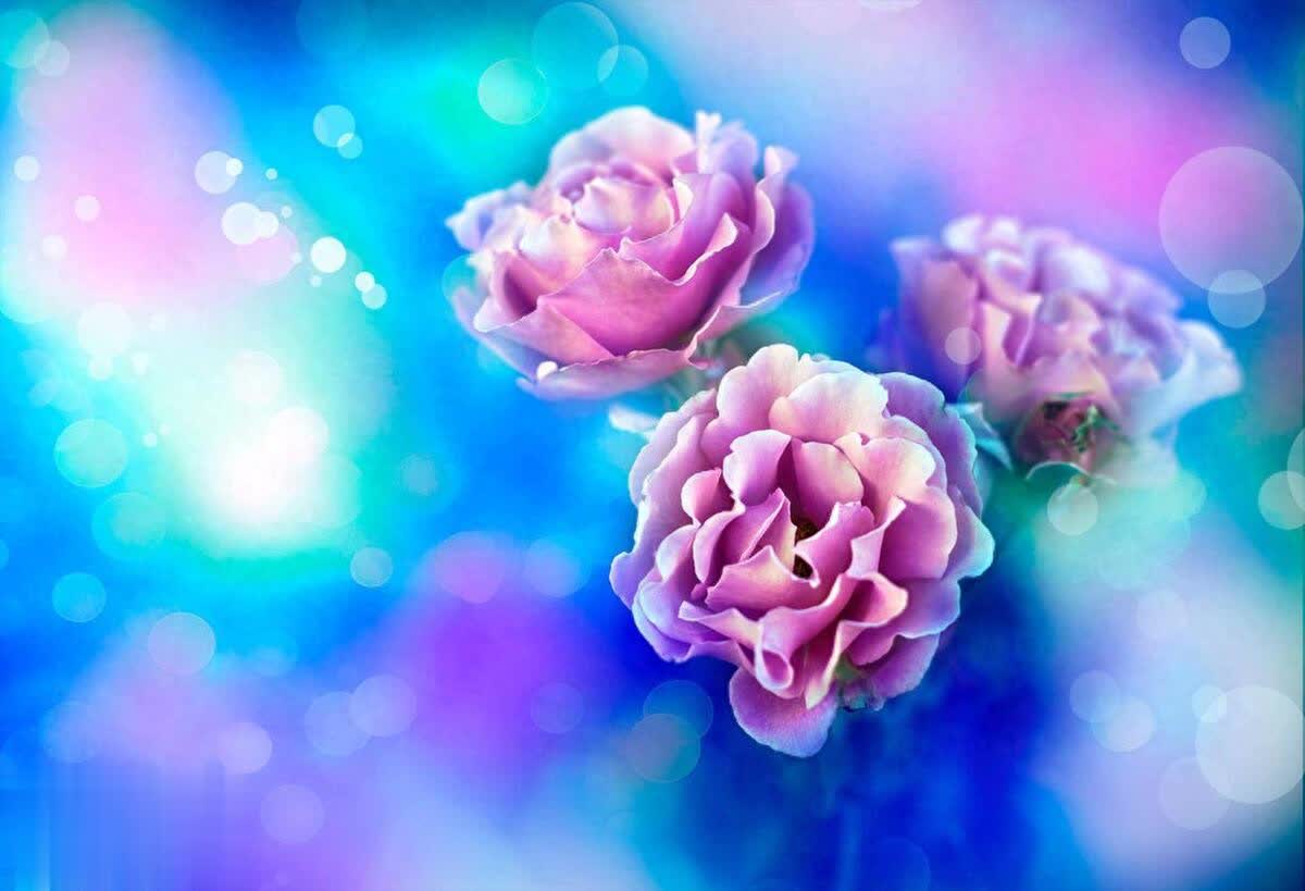 生活的扎心现实：坏人恶人真的不少，所以，活得有点攻击性吧