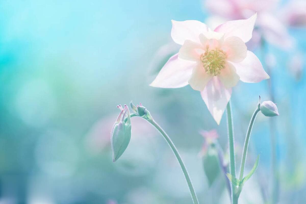 生活的扎心现实：坏人恶人真的不少，所以，活得有点攻击性吧