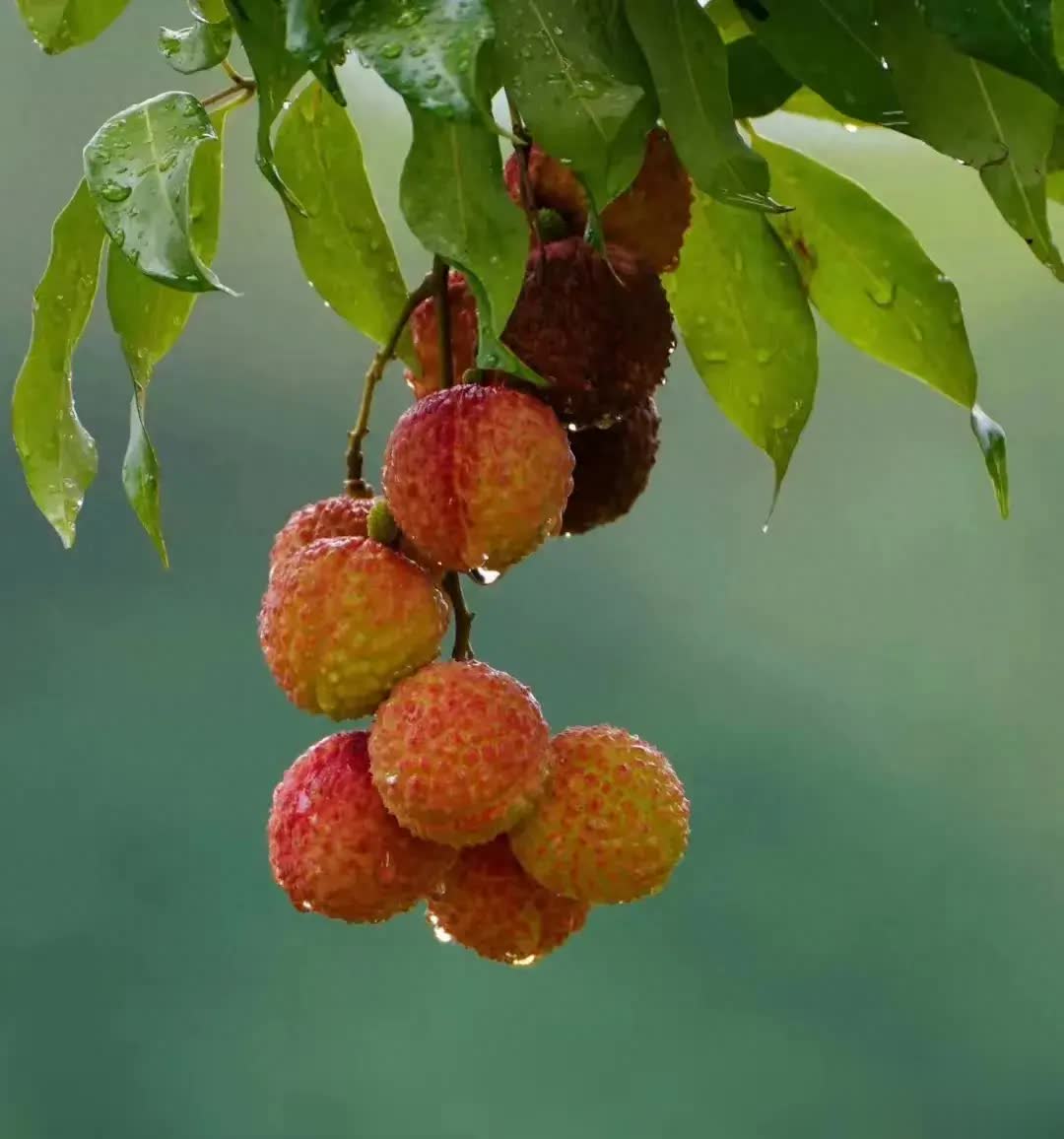 别让坏情绪成为你的负担：保护自己，远离他人的负面情绪