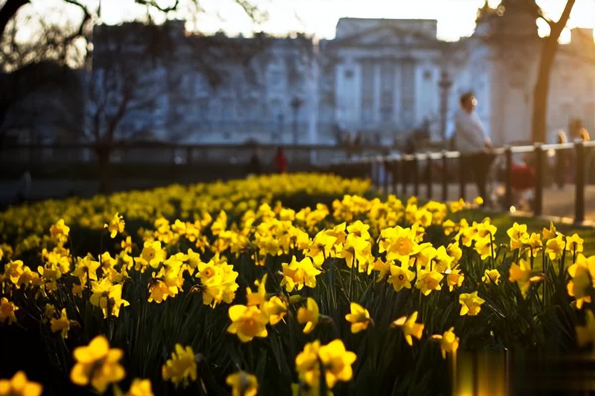 成熟的标志：抱怨少，行动多