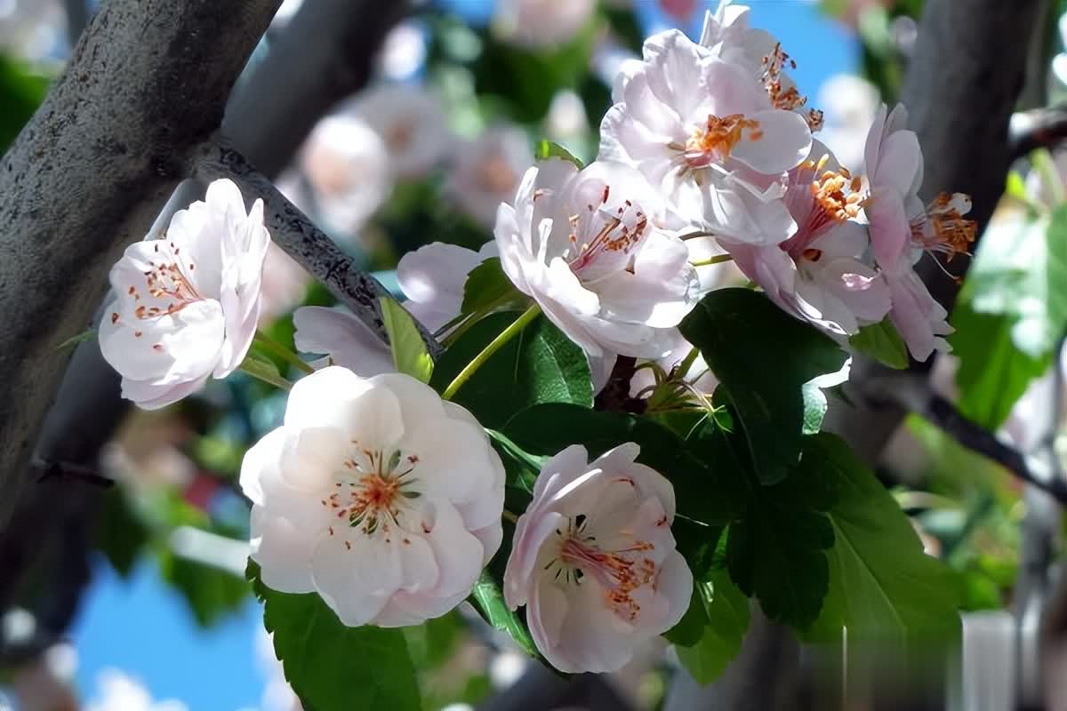 成熟的标志：抱怨少，行动多