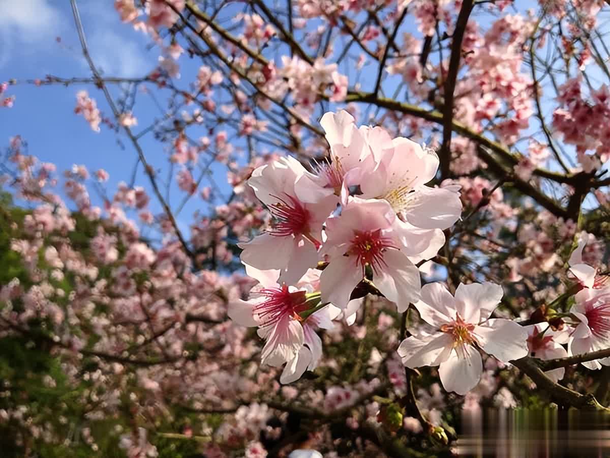 成熟的标志：抱怨少，行动多