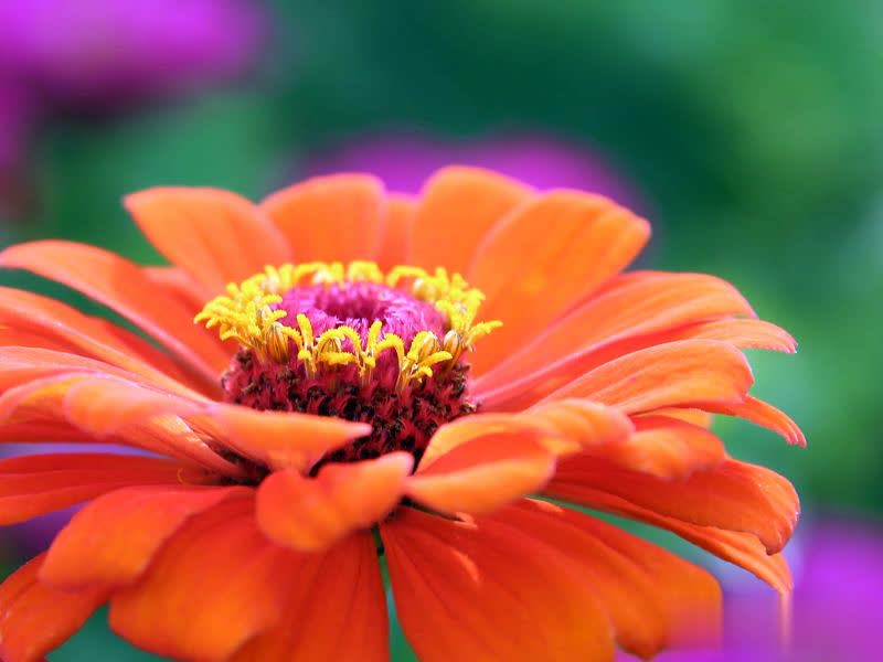 成熟的标志：抱怨少，行动多