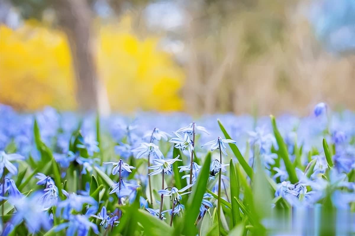 成熟的标志：抱怨少，行动多