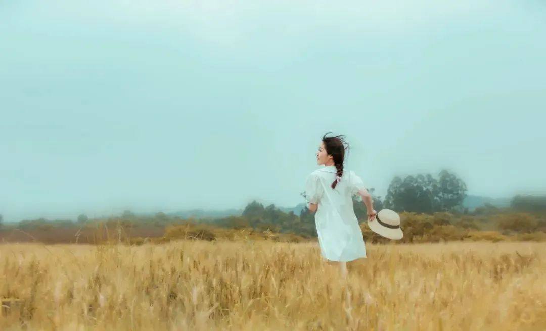 永远不要和不同层次的人争辩