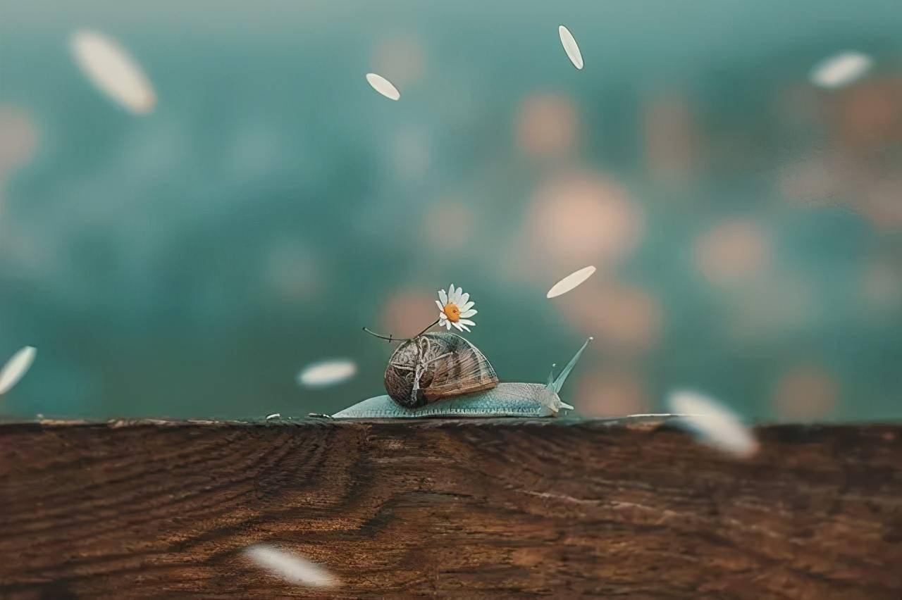 不要对任何人有太多期待，包括父母、爱人，记住了