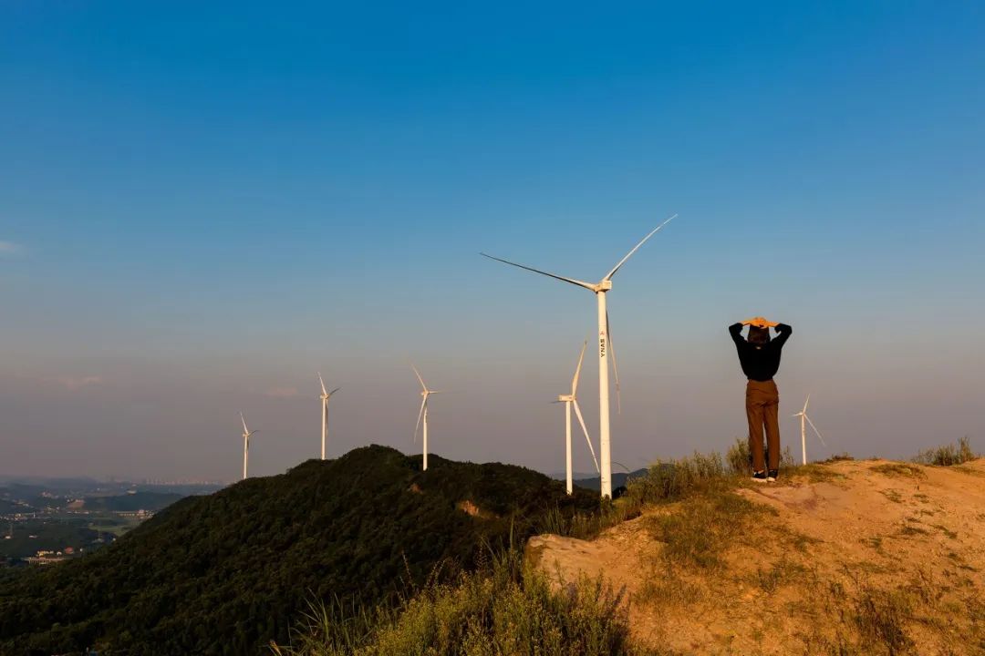 庄子说：“知其不可奈何而安之若命，德之至也。”  改变能改变的，释怀无法改变的，是一种智慧。  无论是得失，还是苦乐，都是命运最好的安排，都是人生最珍贵的领悟。  人生下半场，最好的活法，不是事事如意，而是懂得看透、看淡、看开、看清。