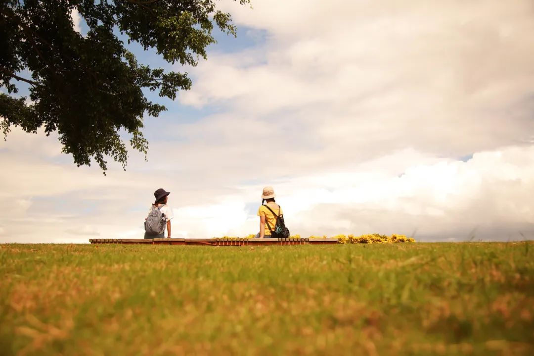 成年人最聪明的社交方式：从不拆穿，但会远离