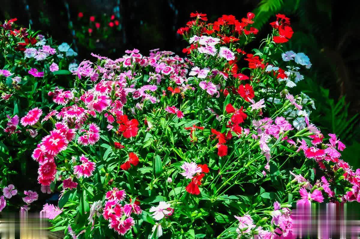 如何应对身边的恶人与小人？持续向上攀登，营造舒适生活