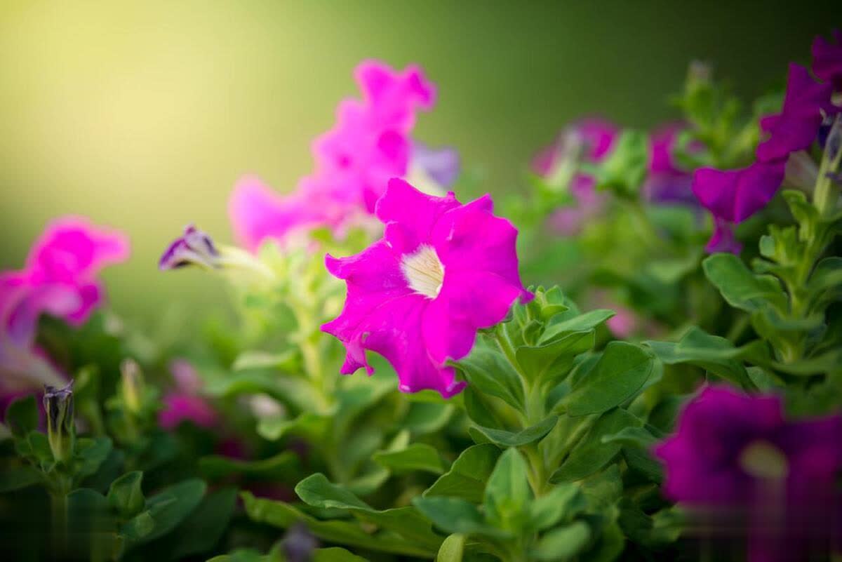 如何应对身边的恶人与小人？持续向上攀登，营造舒适生活