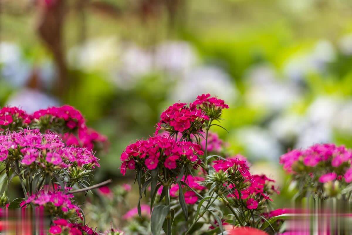 如何应对身边的恶人与小人？持续向上攀登，营造舒适生活