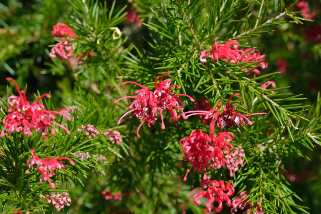 人生下半场，退出才是大智慧