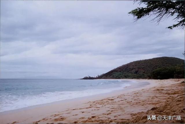 突发|日本遭遇第一波海啸！“高度达4米”！