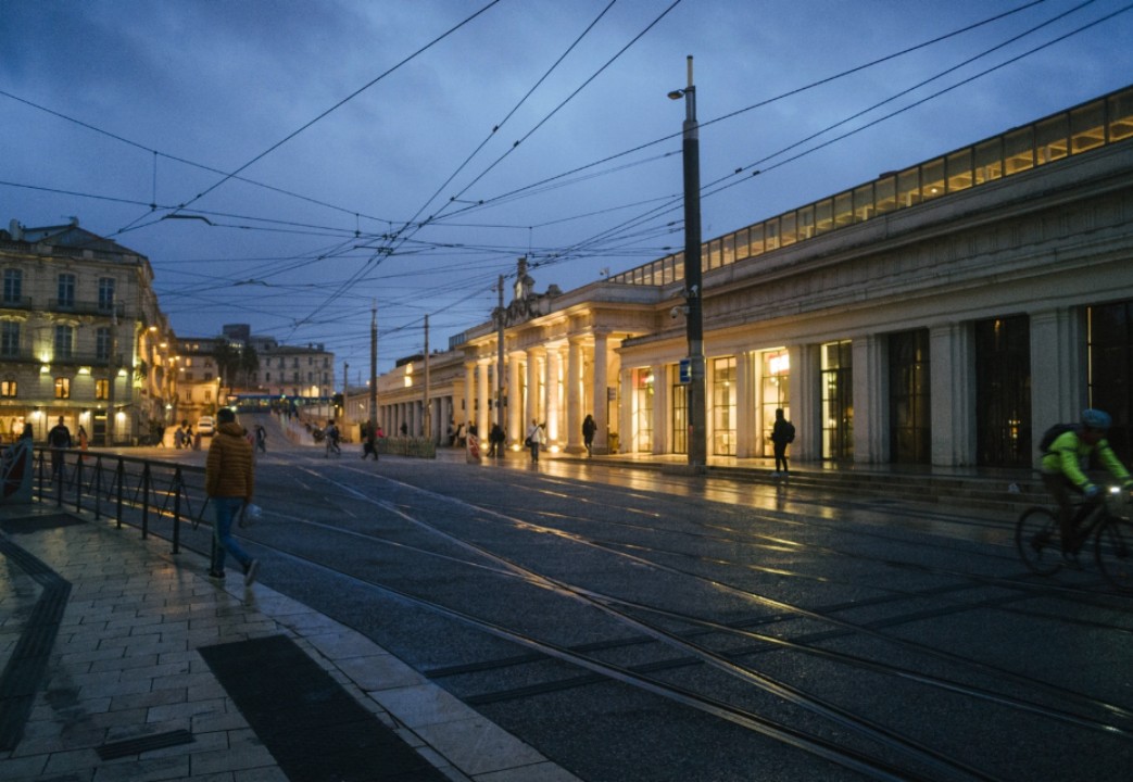 旅行中的 “黑暗森林”