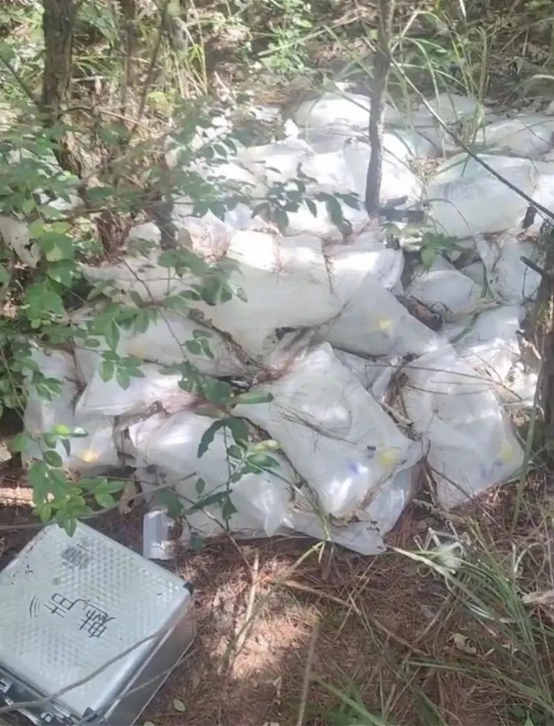 小树林里惊现药品和针头！官方通报：系死者遗物